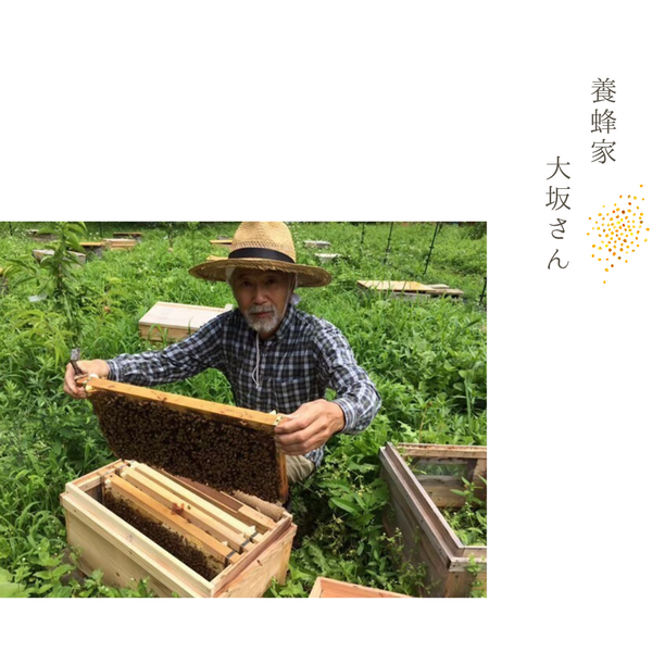 長野県安曇野の純粋非加熱はちみつ【ヤマザクラ】